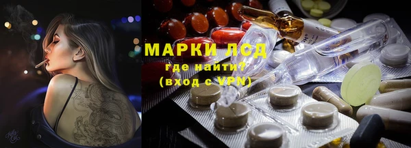 индика Балабаново