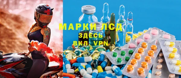 индика Балабаново