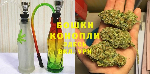 индика Балабаново